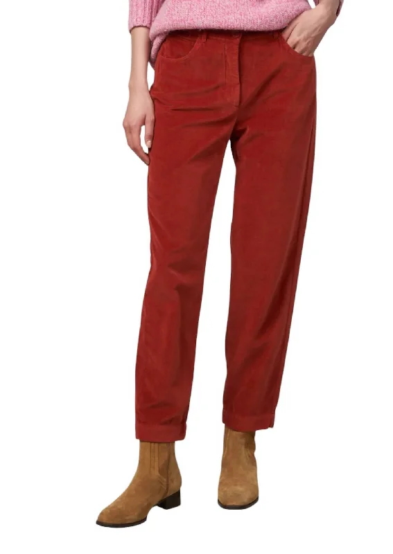 Special Promotion Pepite Velvet Pants In Spice