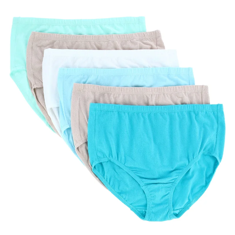 Price Slash Fruit of the Loom Women's Plus Size Cotton-Mesh Brief Underwear (6 Pack)